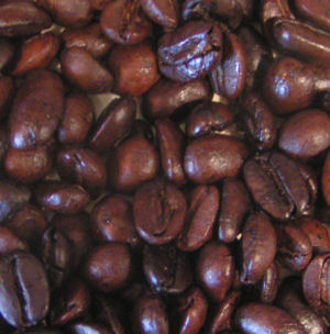 coffee-and-roaster